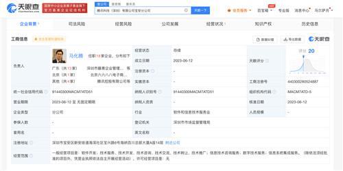 馬化騰任騰訊科技寶安分公司負責人，聚焦信息系統集成服務發展